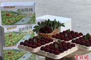 梦见中考高速赋能产业升级：一条“杨梅路”的致富密码
